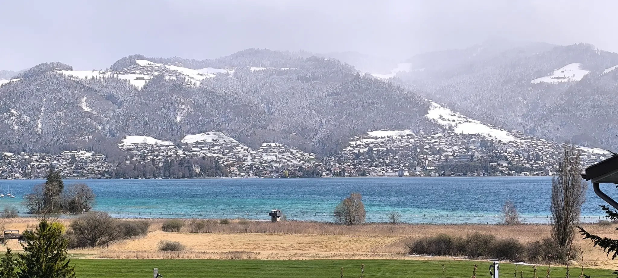 Blick über den winterlichen Thunersee